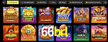 Premium Interface 66brl